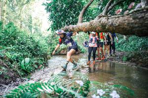 BIB: 
                            <button type="button" onclick="openModal(25477765)" class="btn btn-primary btn-sm float-right btn-popup" data-toggle="modal" data-target=".modal-high-quality">
                        <i class="fas fa-shopping-cart"></i> Add to Cart
                    </button>
                                            <button type="button" onclick="isThisMe(25477765, true)" class="btn btn-success btn-sm float-right btn-popup btn-isme hidden" data-toggle="tooltip" data-placement="bottom" title="นี่คือรูปของคุณใช่ไหม คลิกที่นี่เพื่อเอาเข้าอัลบั้ม">
                        <i class="fas fa-plus"></i> Add to album
                    </button>
                    <button type="button" onclick="isThisMe(25477765, false)" class="btn btn-warning btn-sm float-right btn-popup btn-isnotme hidden">
                        <i class="fas fa-ban"></i> Remove from album
                    </button>